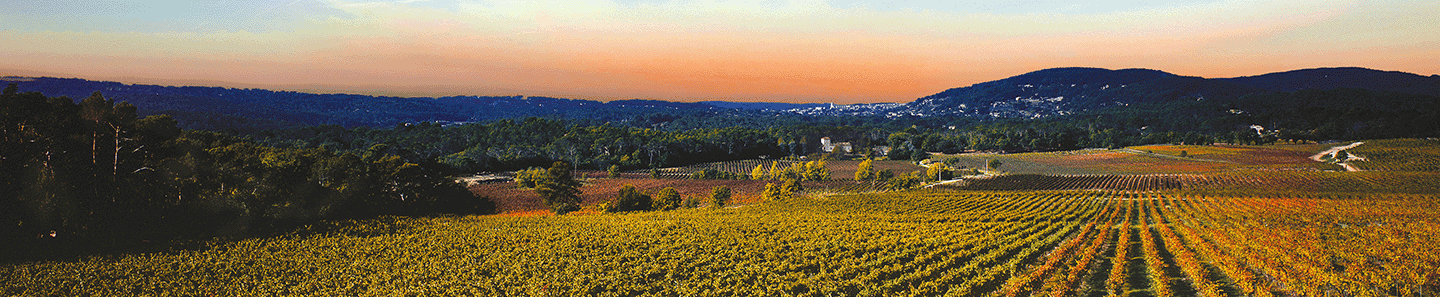 Château Roubine (Edmond de Rothschild)