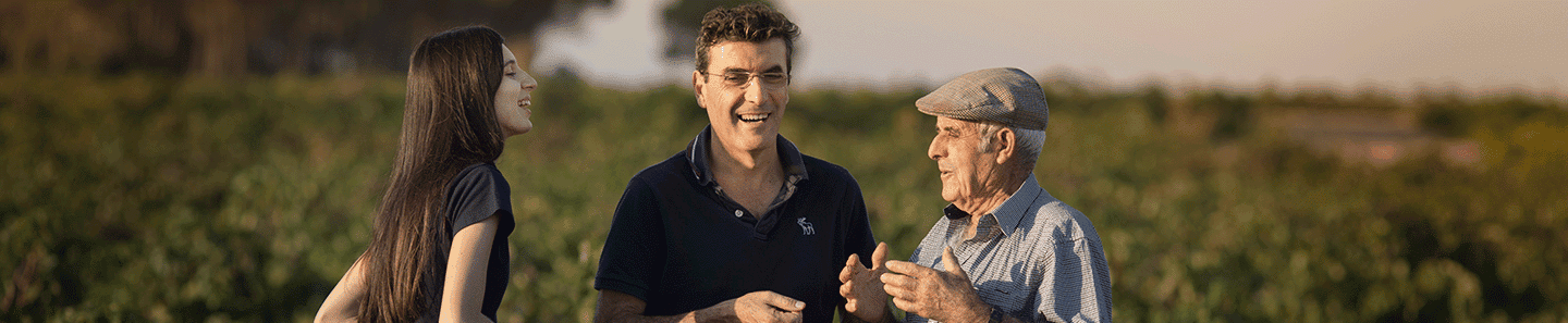 Bodegas Volver