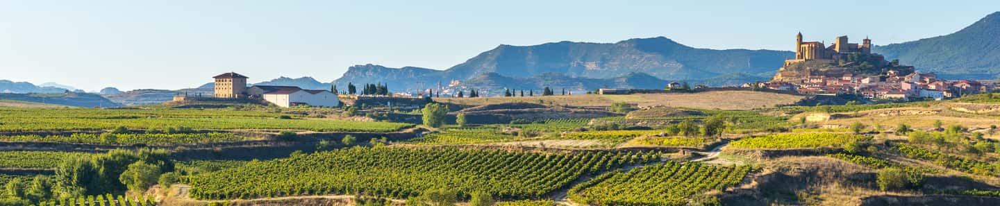 Bodegas Roda