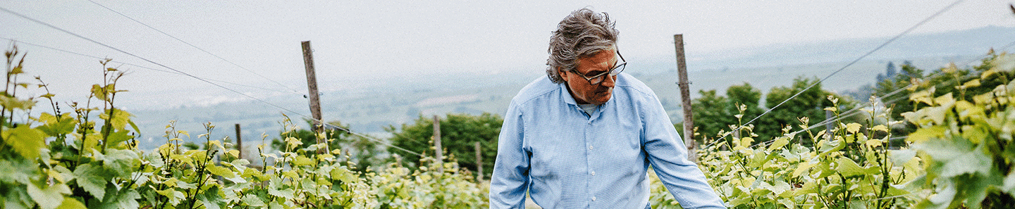 Excellent Wine GmbH