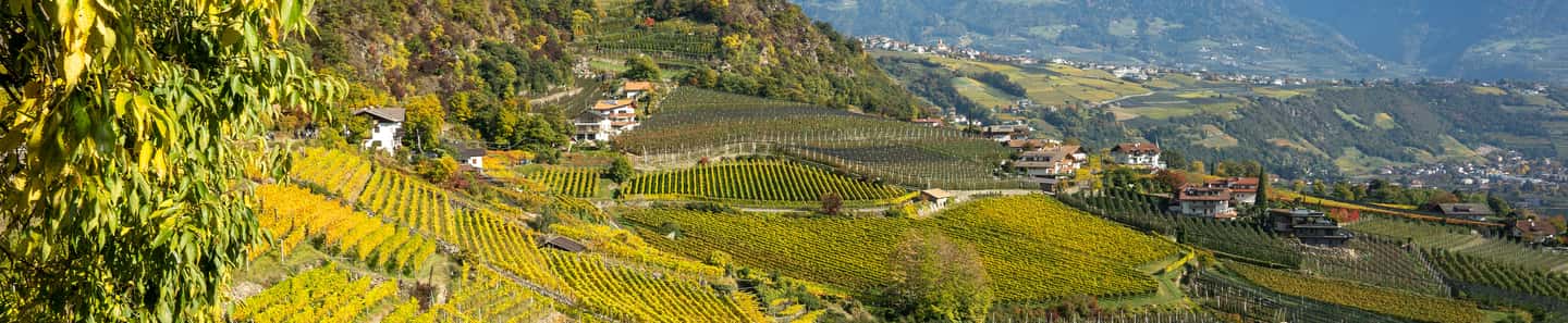 Cantina Terlan