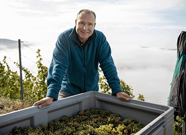 Weingut Nik Weis