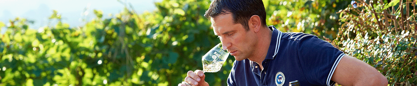 Weingut Manz