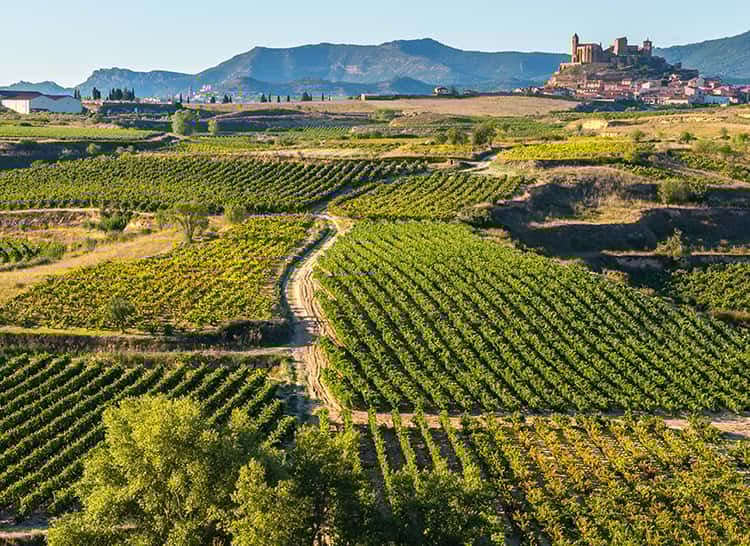 Bodegas Roda