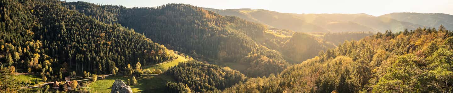 Zingelmann Gewürzmanufaktur