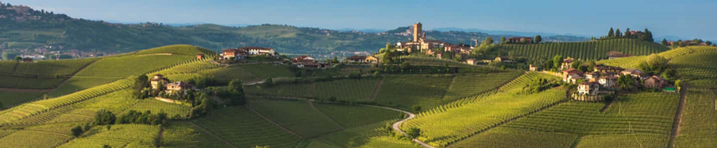Cascina Radice