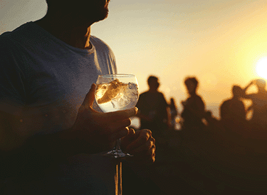 Gin Sul