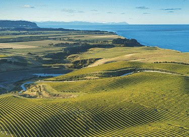 Yealands Wines