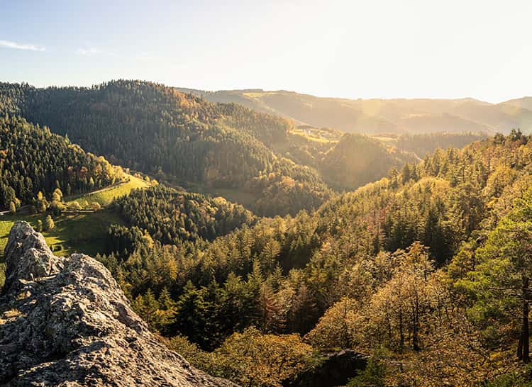 Zingelmann Gewürzmanufaktur