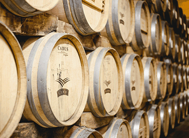 Cloof Wine Estate