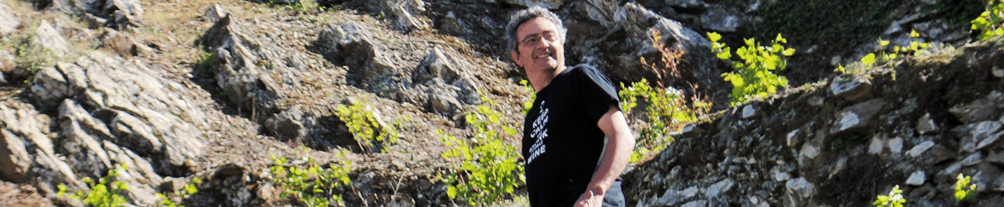 Celler de l'Encastell