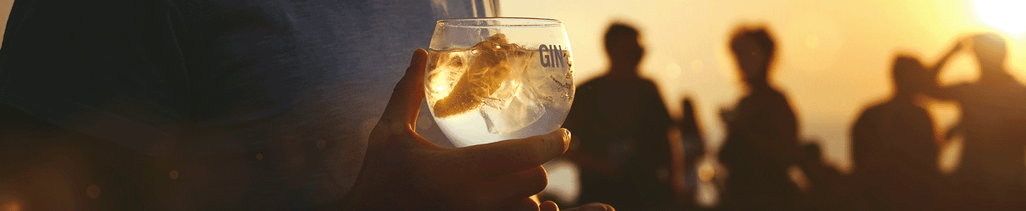 Gin Sul