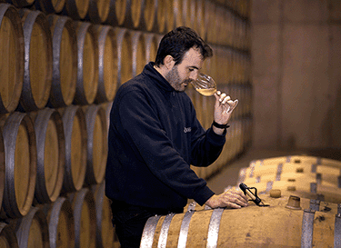 Bodegas Solagüen