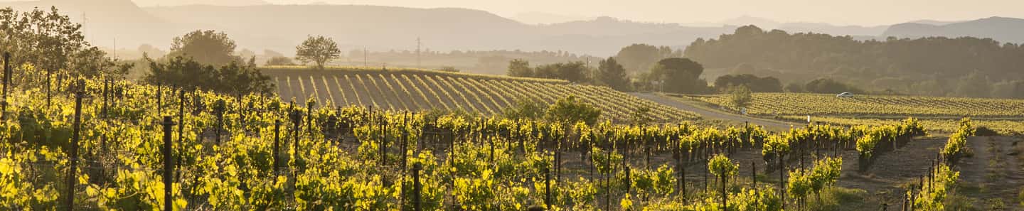 Vignerons Propriétés Associés