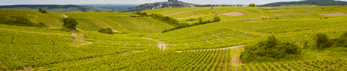 Domaine Beauséjour