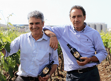 Cantina Vecchia Torre