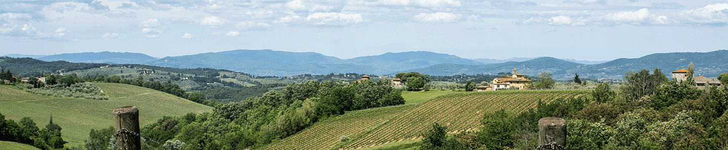 Antinori - Santa Cristina