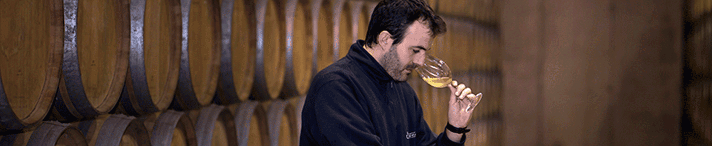 Bodegas Solagüen