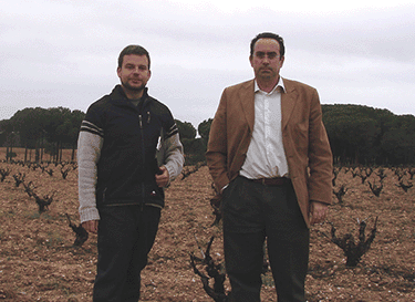 Bodegas Francisco Casas