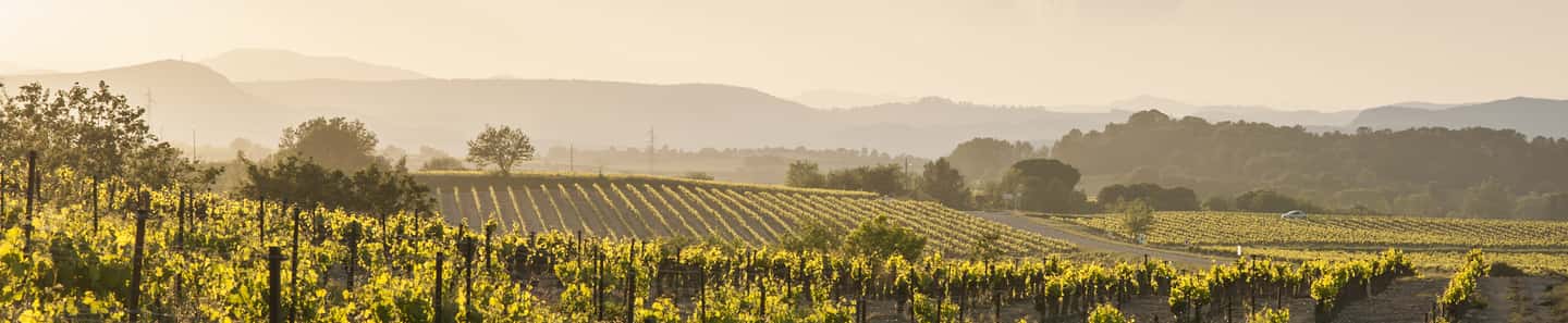 Grands Vins du Saint Chinian