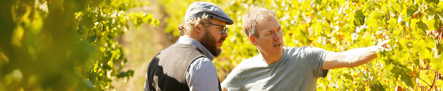 Steitz & Beck