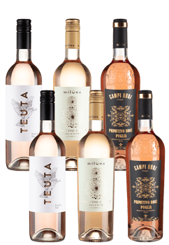 6erPaket Primitivo Genuss von