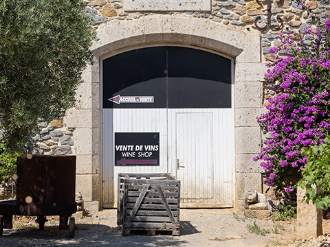 Chateau Grand Moulin