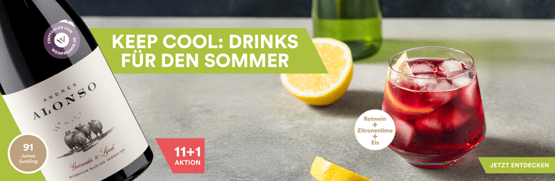 Sommer-Drinks
