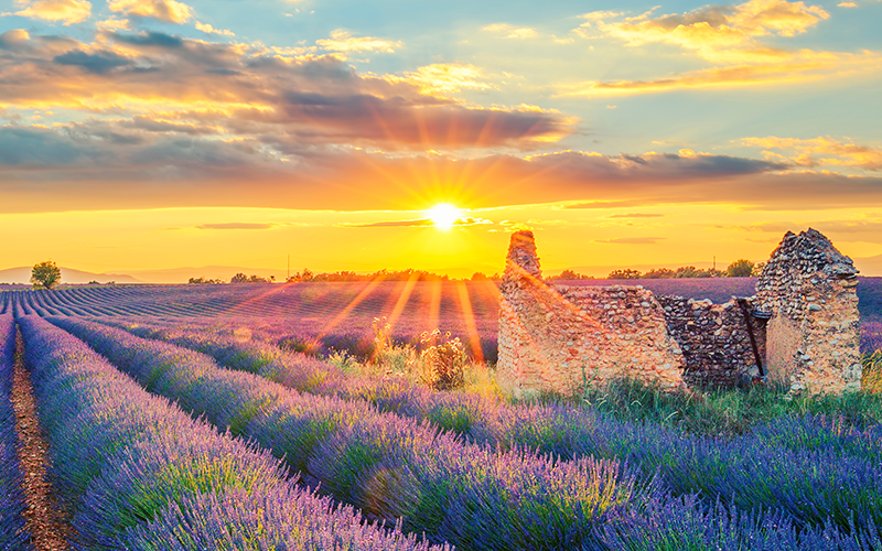 Provence
