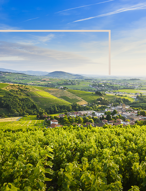 Château Bel Air Perponcher