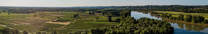 Pomerol meets Pauillac