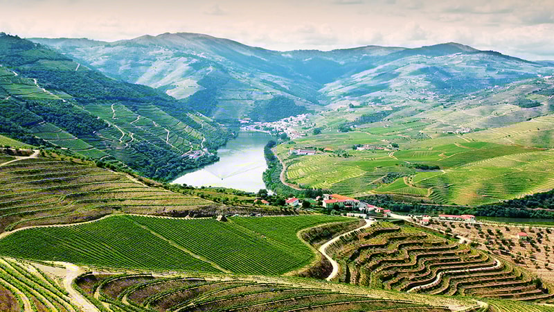 Weinland Portugal