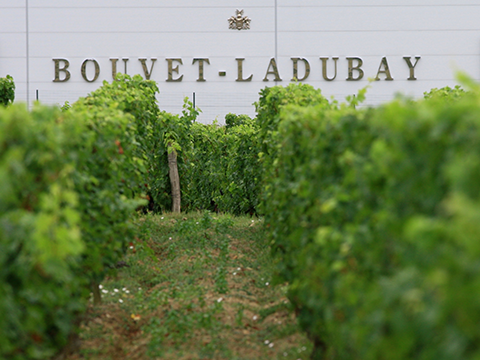 Bouvet-Ladubay Weingut