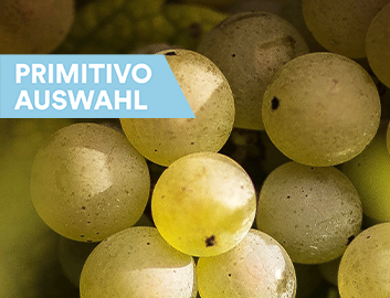 Primitivo Entdecken