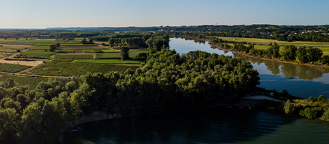Pomerol meets Pauillac