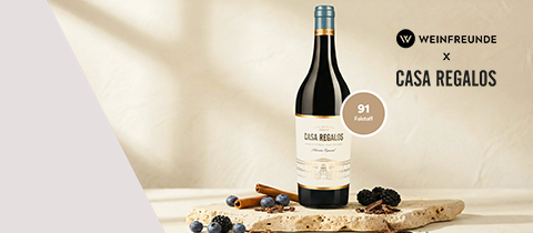 Selección Especial 2023 Casa Regalos