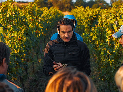 Grauburgunder Wertstück trocken 2024 Winter