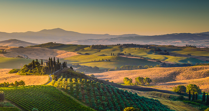 Urlaubsweine Italien