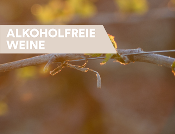 Alkoholfreie Weine entdecken