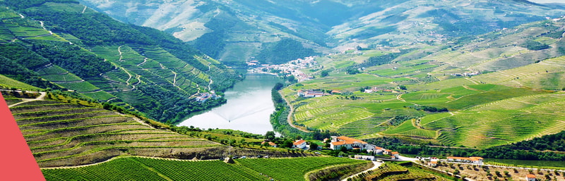 Portwein Weinberge