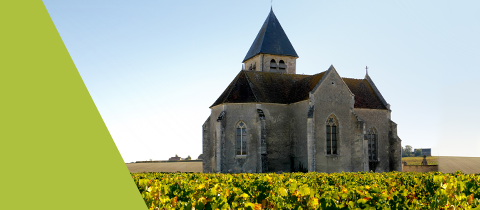 Weinland Frankreich
