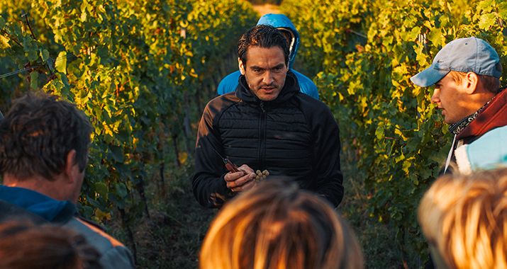 Grauburgunder Wertstück trocken 2024 Winter