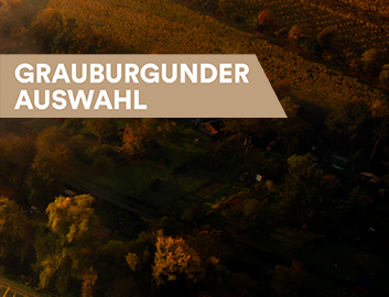 Grauburgunder entdecken