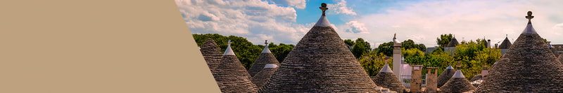 6er-Paket Primitivo Champions