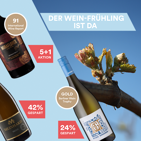 Weine zum Frühlingsstart