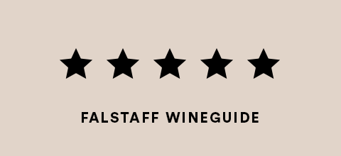 Breisacher Eckartsberg Grauburgunder Erste Lage trocken 2023 Heger