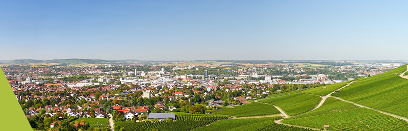 Weißburgunder