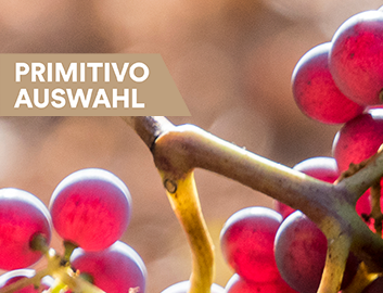 Primitivo Entdecken