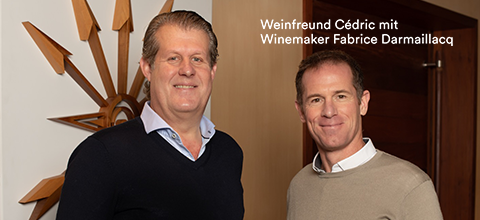 Flechas de Los Andes (Edmond de Rothschild) Flechas de los Andes Punta Malbec 2022