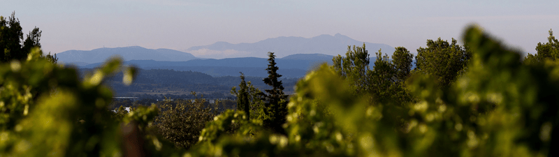 Languedoc-Roussillon